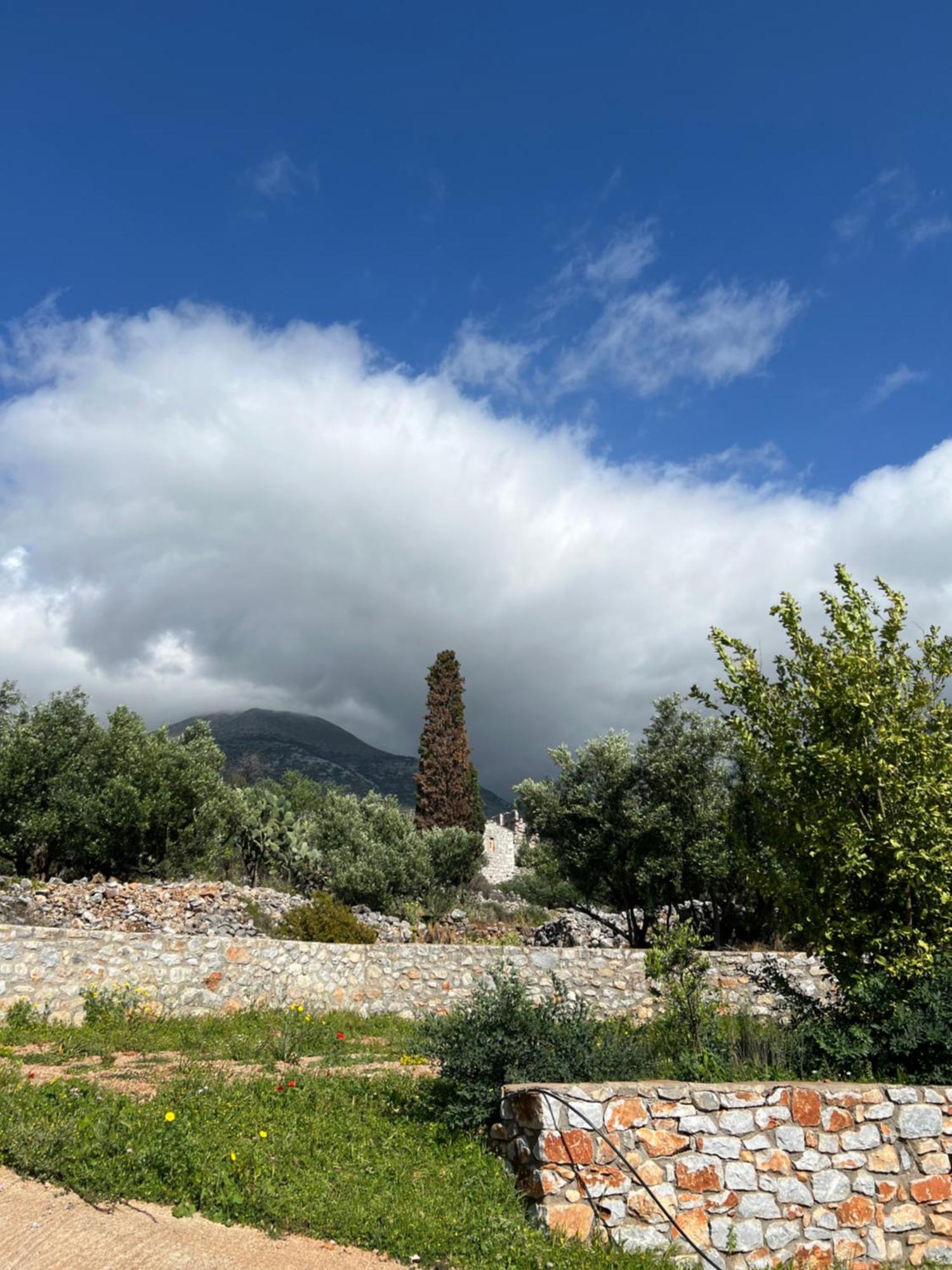 Koukouri Village Kafiona المظهر الخارجي الصورة