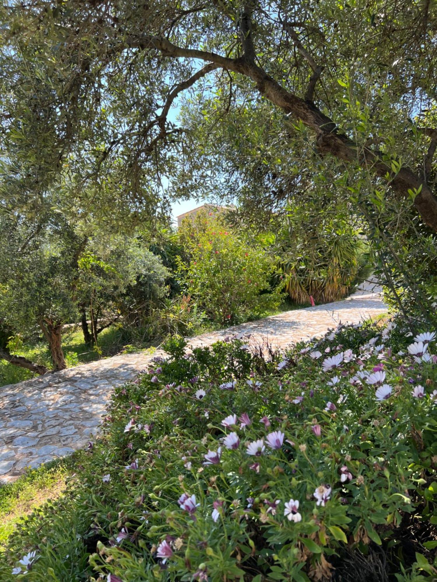 Koukouri Village Kafiona المظهر الخارجي الصورة
