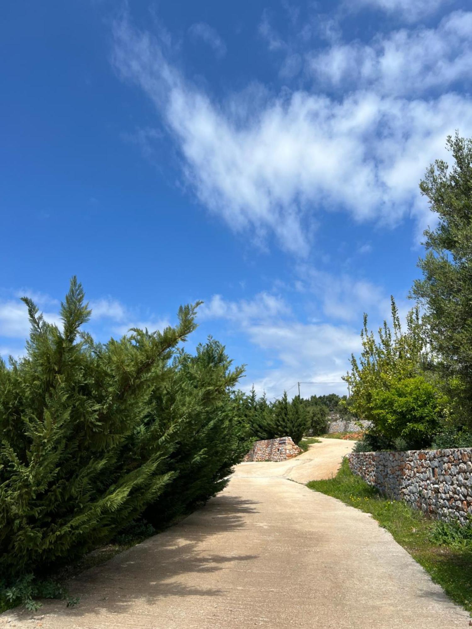 Koukouri Village Kafiona المظهر الخارجي الصورة